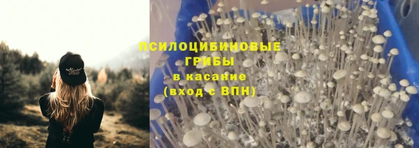 таблы Белокуриха
