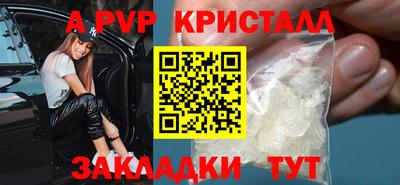 шишки Абакан