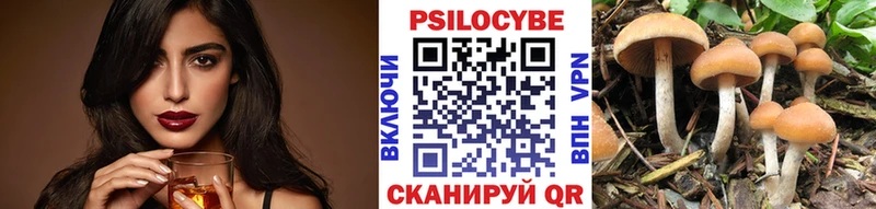 Псилоцибиновые грибы прущие грибы  купить закладку  Дальнегорск 