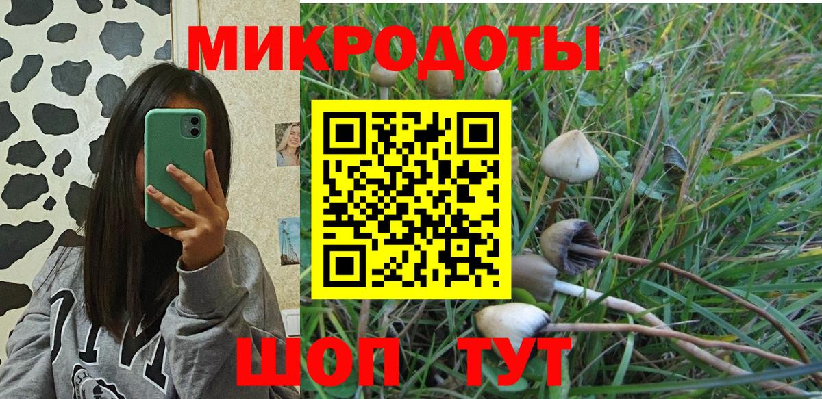 Галлюциногенные грибы GOLDEN TEACHER  купить закладку  Дальнегорск  Псилоцибиновые грибы Cubensis  Вход с VPN 