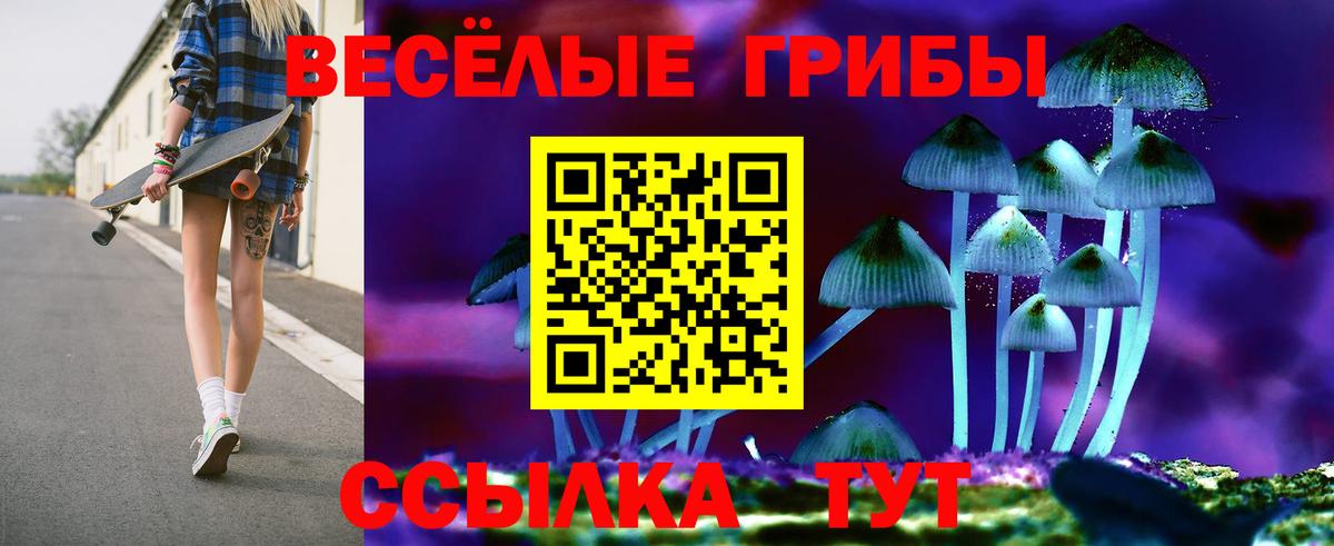 Псилоцибиновые грибы Psilocybe Дальнегорск
