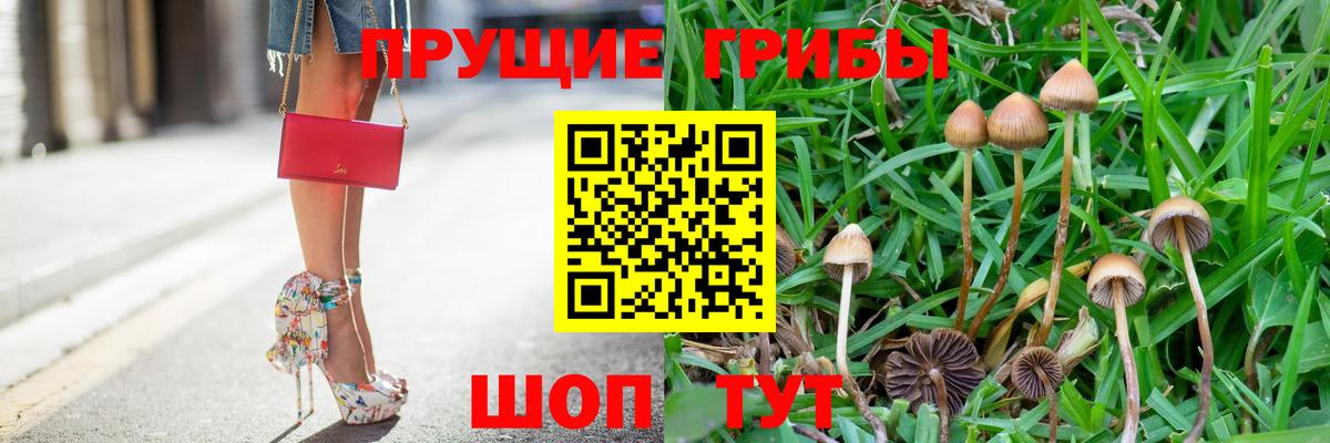 Псилоцибиновые грибы MAGIC MUSHROOMS Дальнегорск